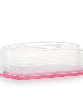 Tupperware Classic Cake Taker Rectangle